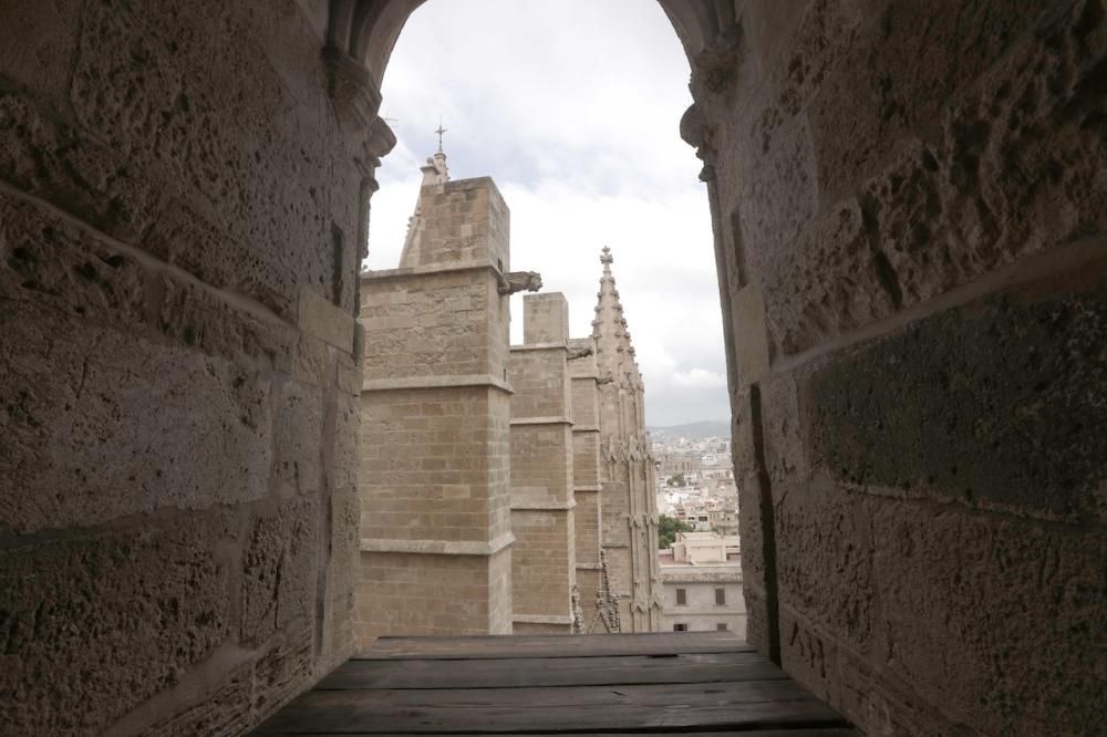 Visita guiada a las terrazas de la Seu