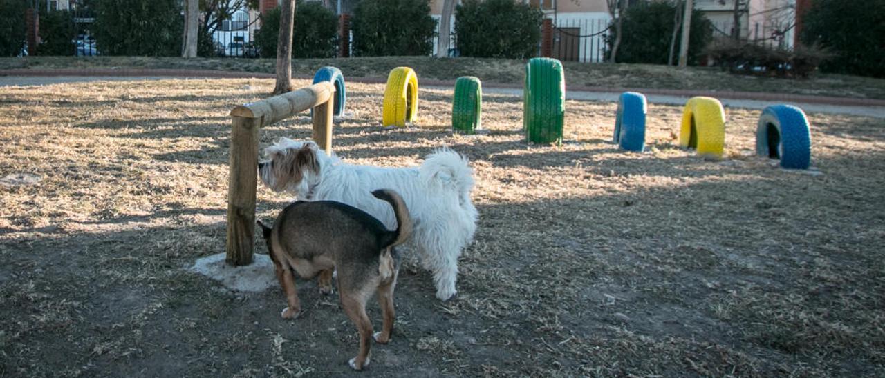 Numerosos vecinos de Ibi acuden a las zonas de esparcimiento con sus mascotas para que puedan disfrutar al aire libre.