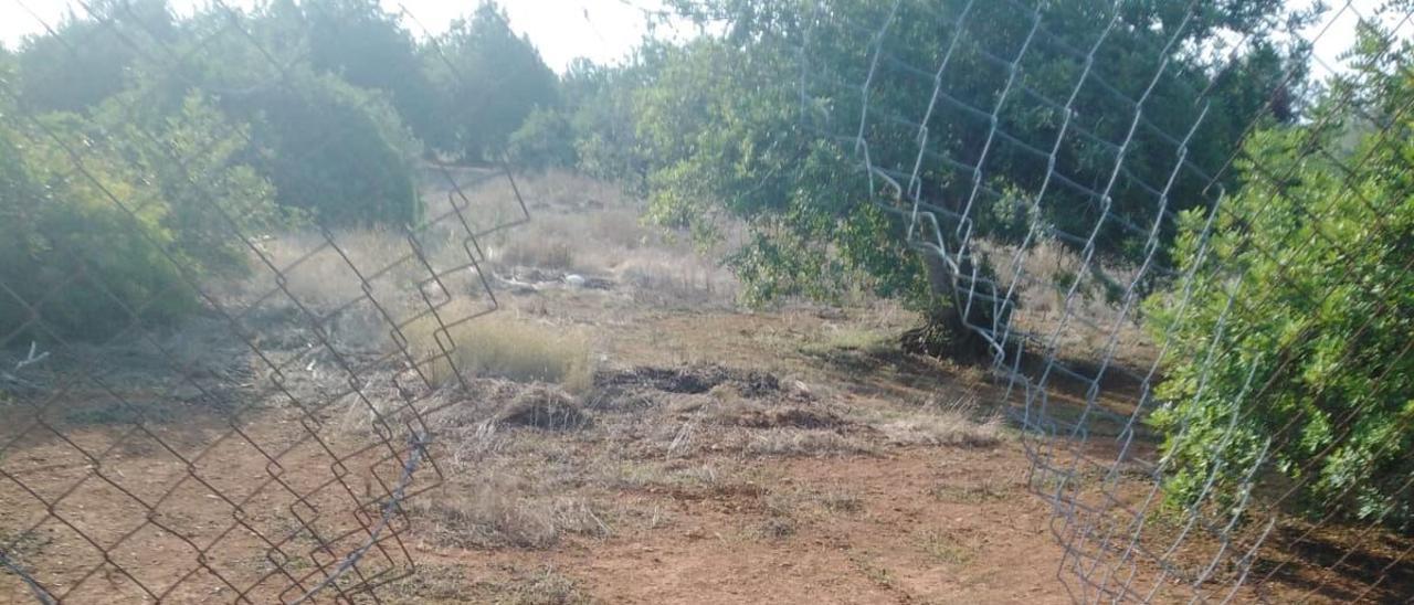 Aspecto del vallado destrozado para cometer el robo.