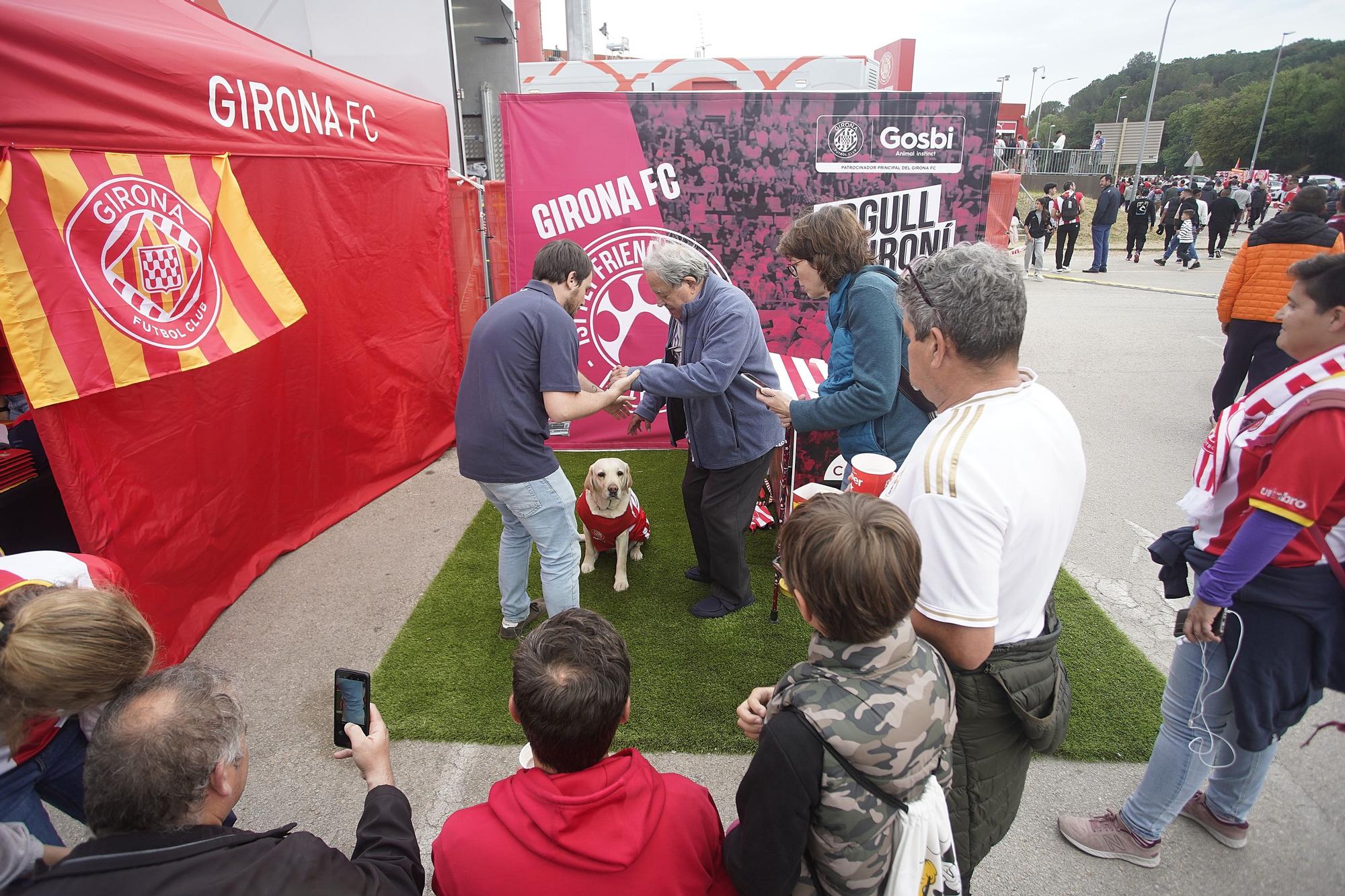 El Girona es cruspeix al Reial Madrid a Montilivi (4-2)