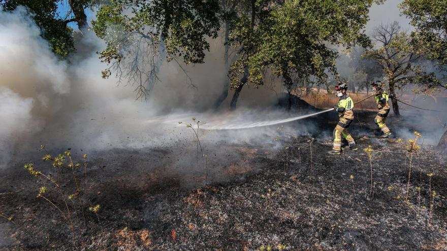 Extinguido el incendio cerca de la Dehesilla de Calamón en Badajoz