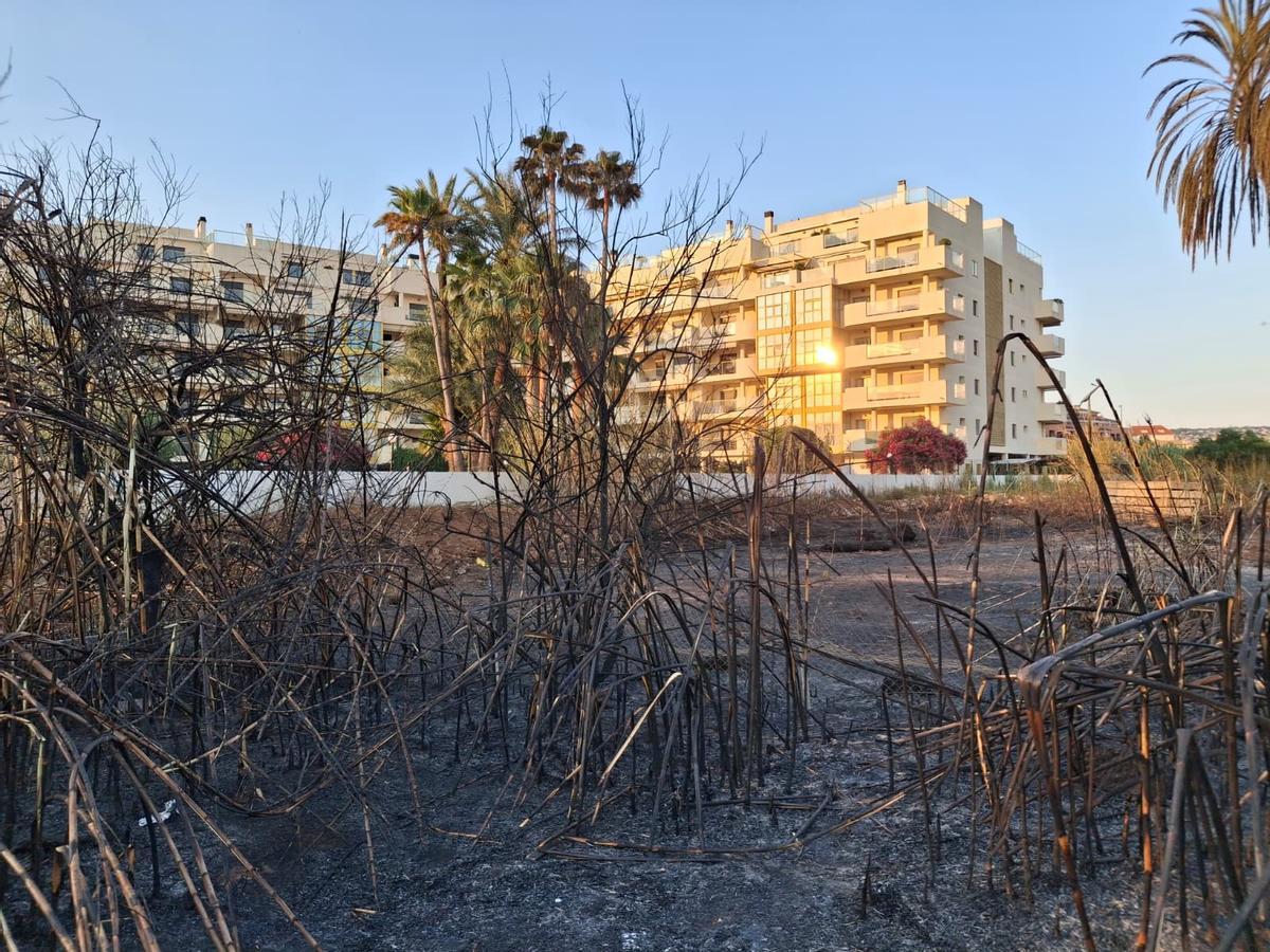 Un tramo de duna calcinado y escombros, abandono y cenizas: el estrago del incendio de Dénia junto a la playa del Raset