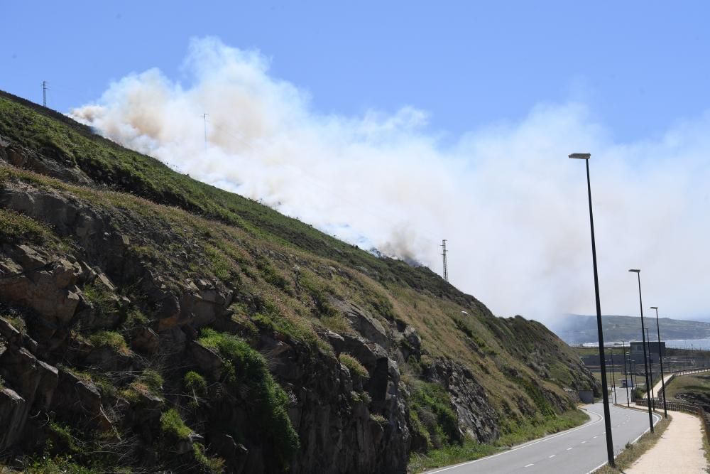 El humo se ha podido ver desde varios puntos de la ciudad. Se han visto afectadas entre cinco y seis hectáreas.