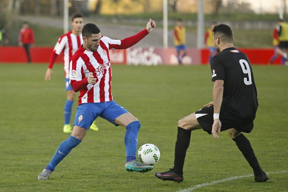 Copa Federación: Sporting B - Zamora