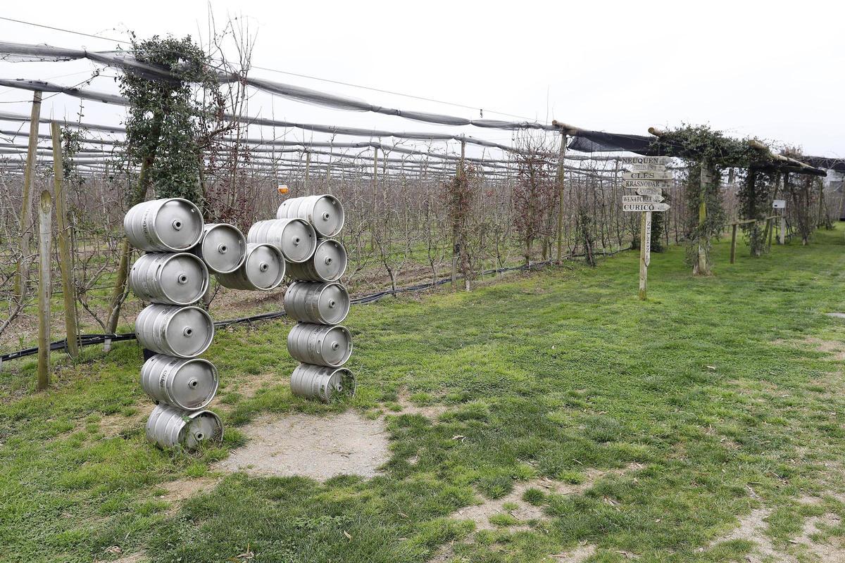 Pau i Guillem Frigola, propietaris de Mooma, i els seus productes