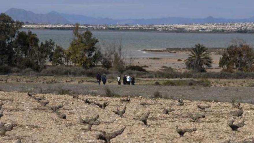 Un proyecto para impulsar el turismo vitivinícola en el Parque de La Mata