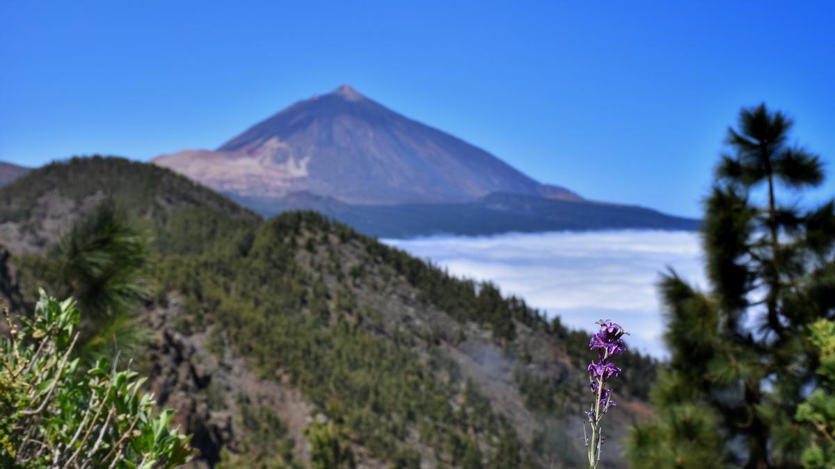 Imagen del Teide en un día soleado