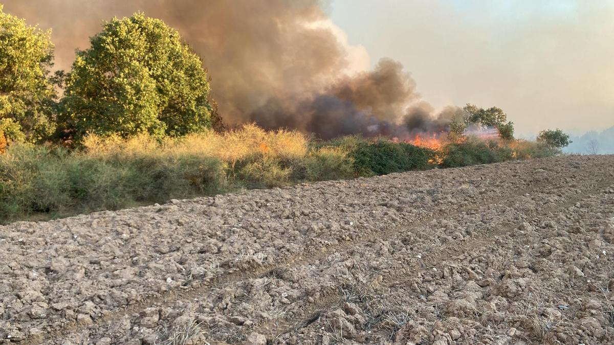 GALERÍA | Incendio forestal en Rábano de aAliste GALERÍA | Incendio forestal en Rábano de aAliste