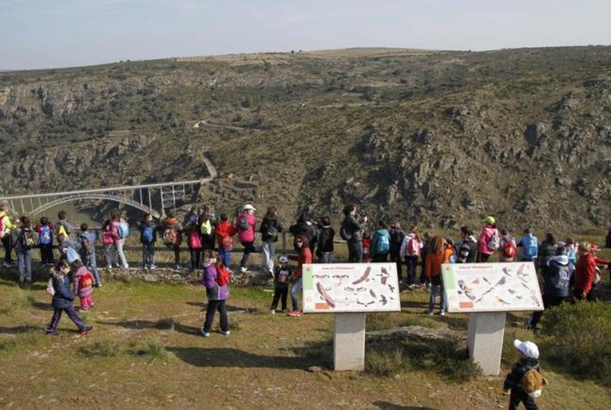 Alumnos del colegio Tierras de Sayago plantan árboles en la zona arrasada por el incendio