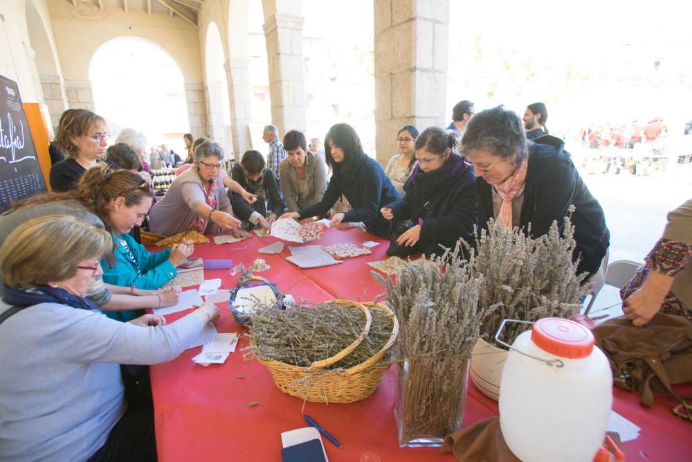 Mercat de les herbes de la ratafia de Santa Coloma de Farners