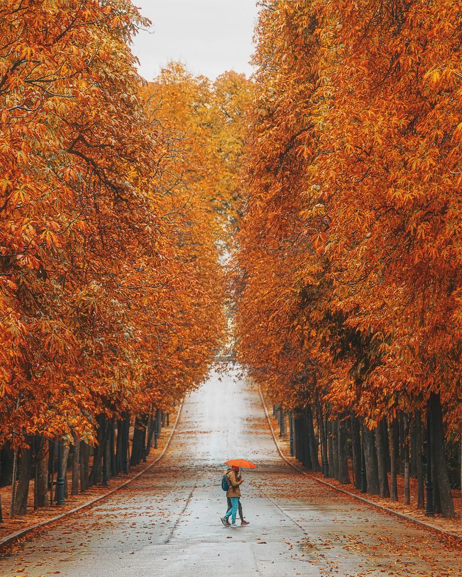 Madrid en otoño es una explosión de colorido.