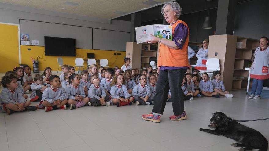 Robin, el «profe» canino que se cuela en las aulas o en las residencias de mayores... y consiguió volver hacer hablar a Inés