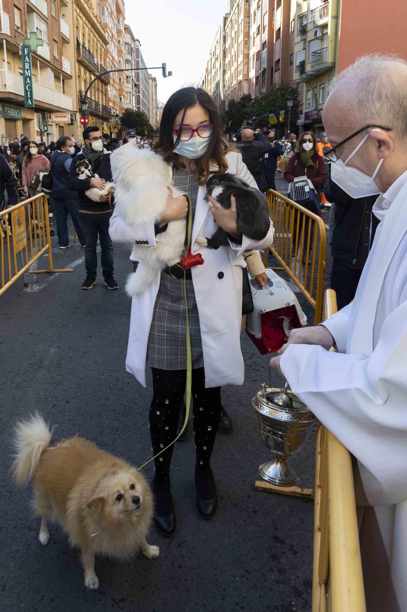 Búscate en la bendición de animales de Sant Antoni