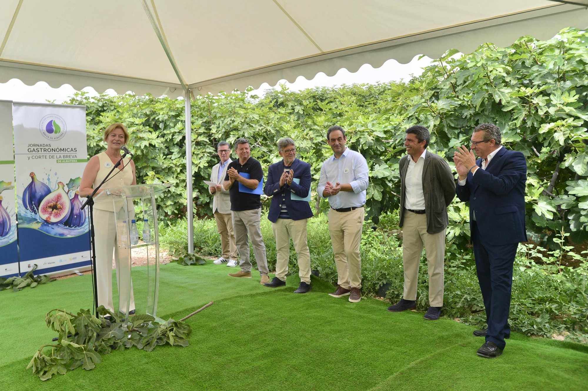 Acto simbólico del arranque de la campaña de breva colar de Albatera