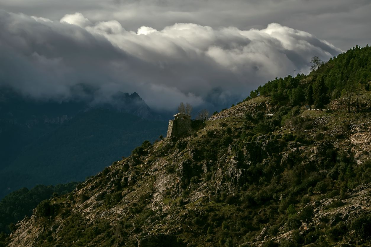 La conservación de los espacios naturales es primordial para la conservación de la biodiversidad