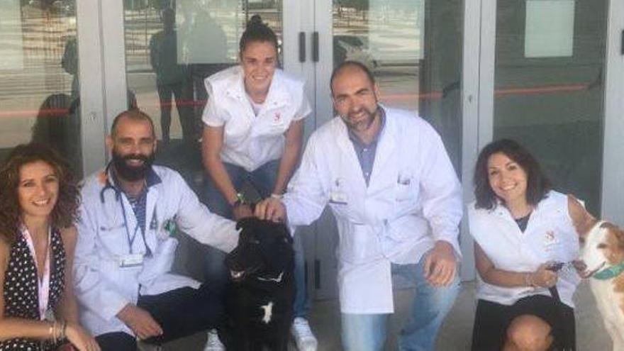 &#039;Dogspital&#039; llega al Hospital Rey Juan Carlos de Móstoles
