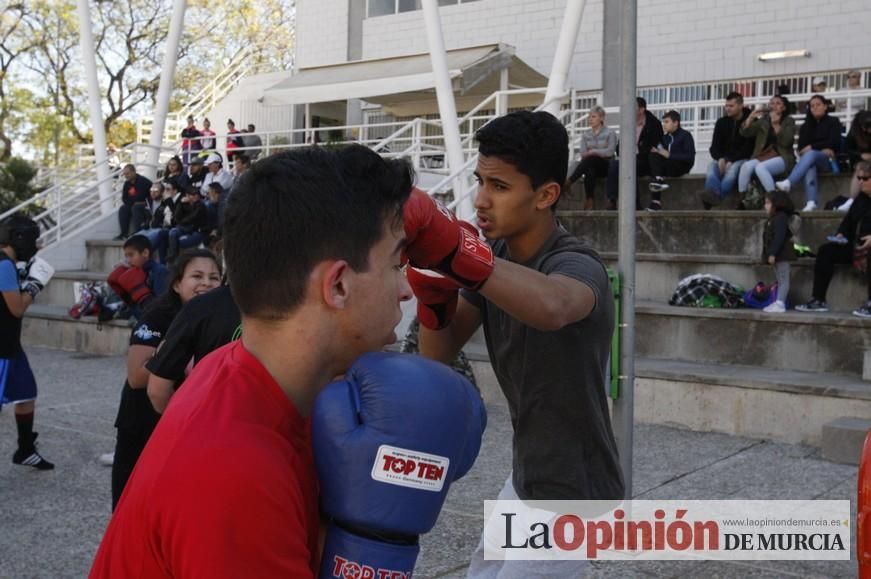 Fiesta del Deporte de Murcia (domingo)