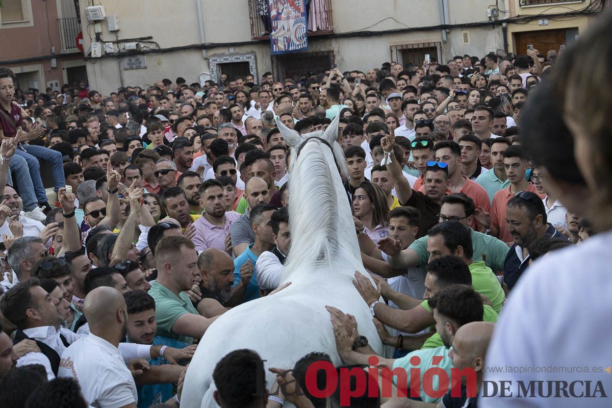 Fiestas de Caravaca | Entrega de premios del concurso morfológico