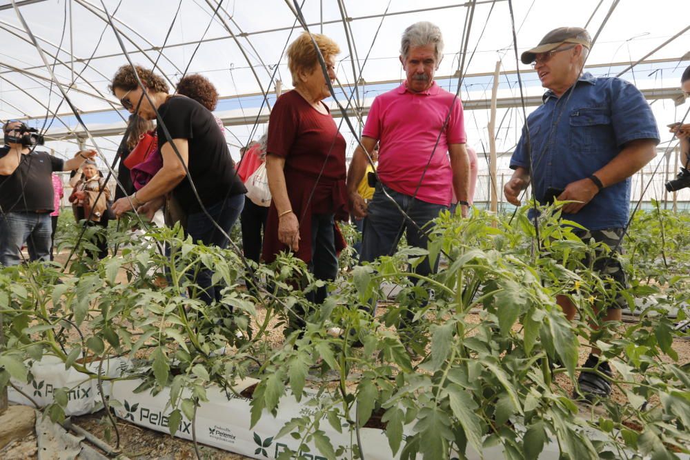 Elche celebra el Día de la Mujer Rural