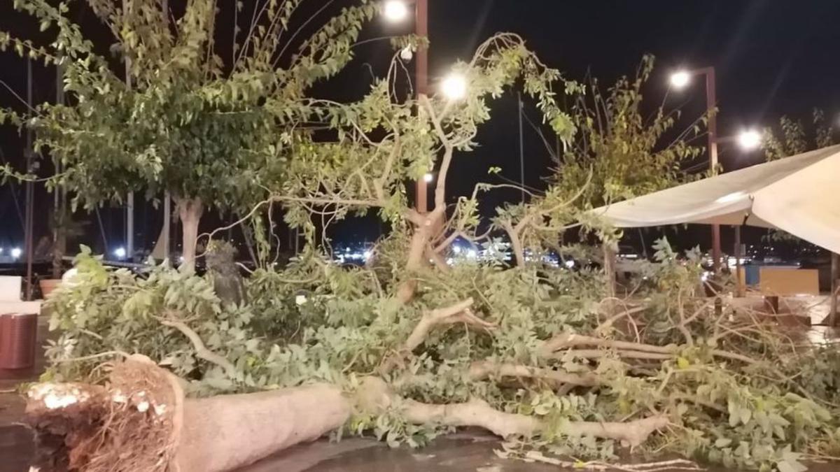 El temporal afecta al transporte marítimo