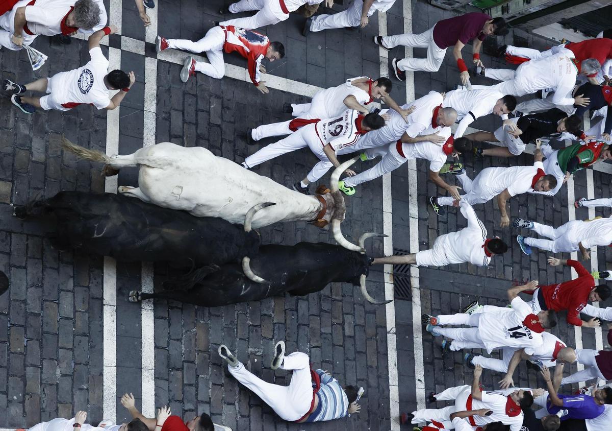 Segundo encierro de (152282929).jpg