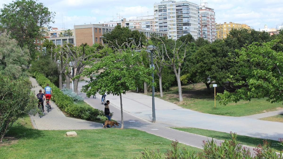 València se ha sometido en los últimos años a un proceso transformador hacia un modelo de ciudad más sostenible.