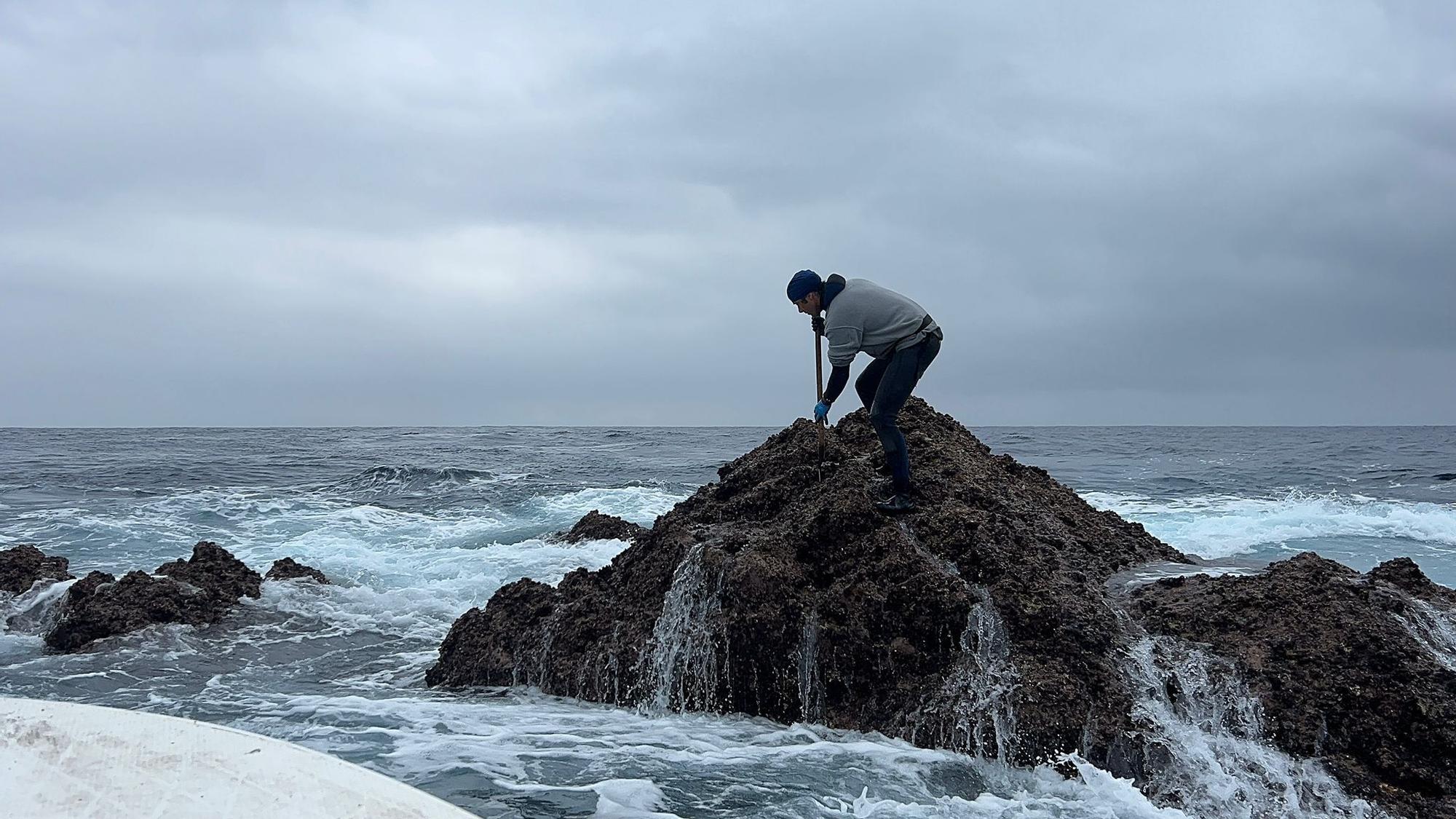 EN IMÁGENES: Así luchan los mariscadores de Luanco por cada kilo de percebe en el cabo Peñas