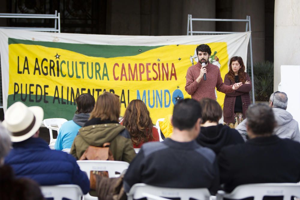 Mercado ecológico en la plaza del Ayuntamiento de Valencia