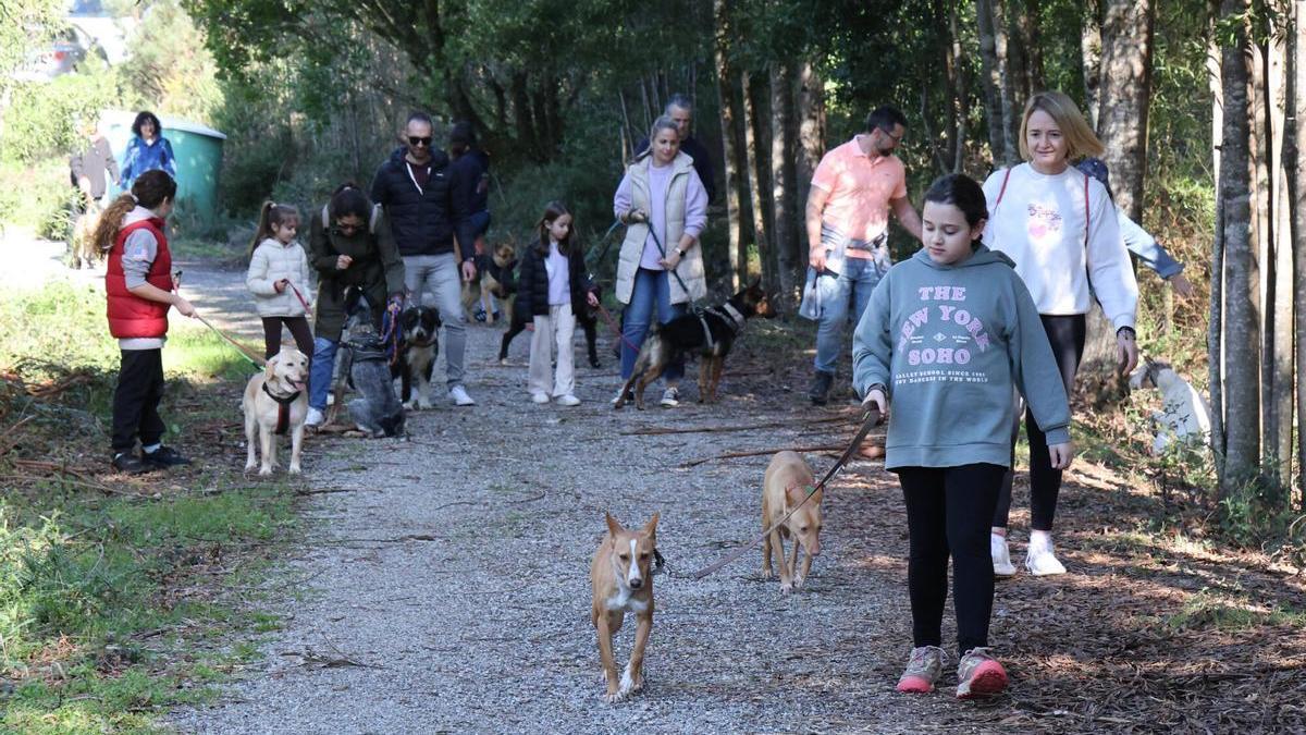 Un paseo por una buena causa: la protectora Os Biosbardos y Faro se unen en la suscripción solidaria