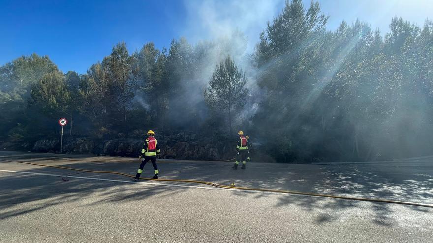 Sofocan un incendio en una pinada próxima al núcleo urbano de Gata