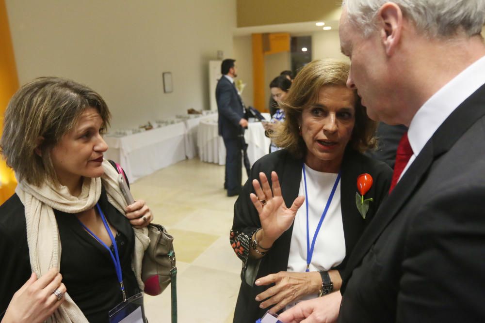 Las sesiones de trabajo del encuentro internacional tendrán lugar en el Palacio de Congresos de Málaga