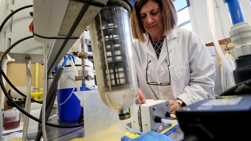 Investigadores de la UPV de Alcoy estudian dar una segunda vida a las membranas que desechan las empresas textiles