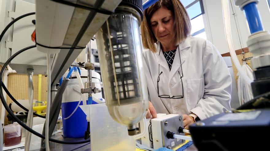 Investigadores de la UPV de Alcoy estudian dar una segunda vida a las membranas que desechan las empresas textiles