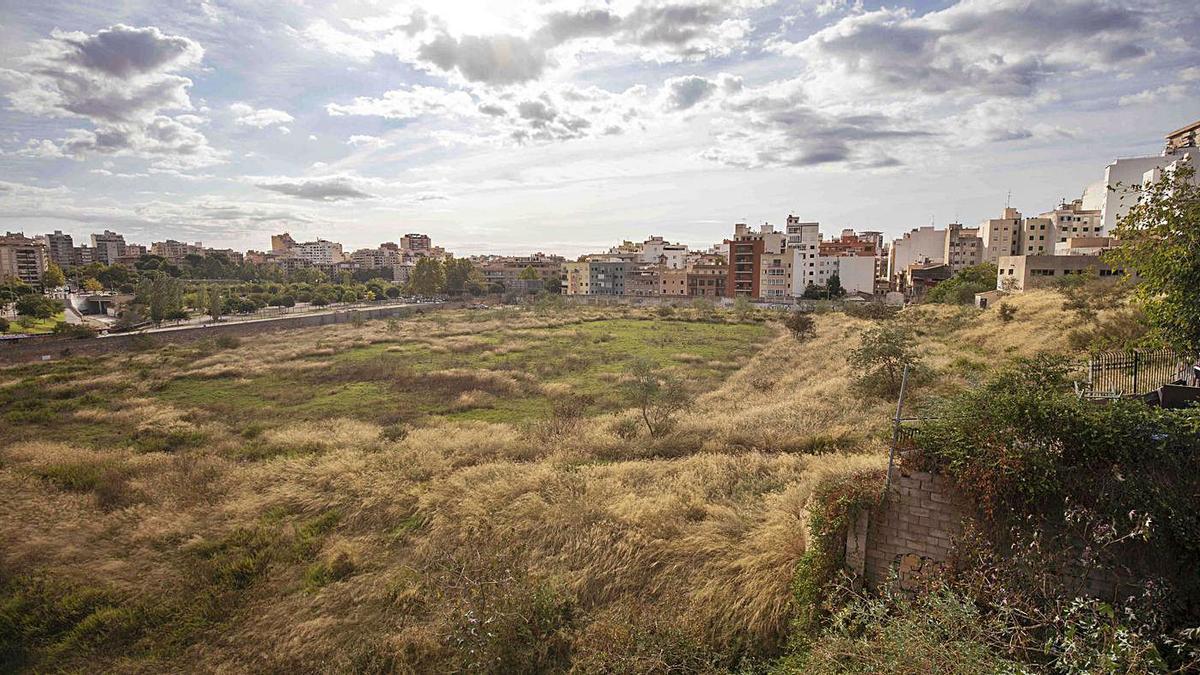 La oferta de compra del Lluís Sitjar por Cort está pendiente de presupuesto