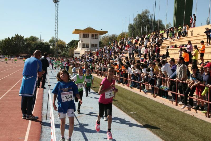 Final Regional de Campo a Través en Edad Escolar