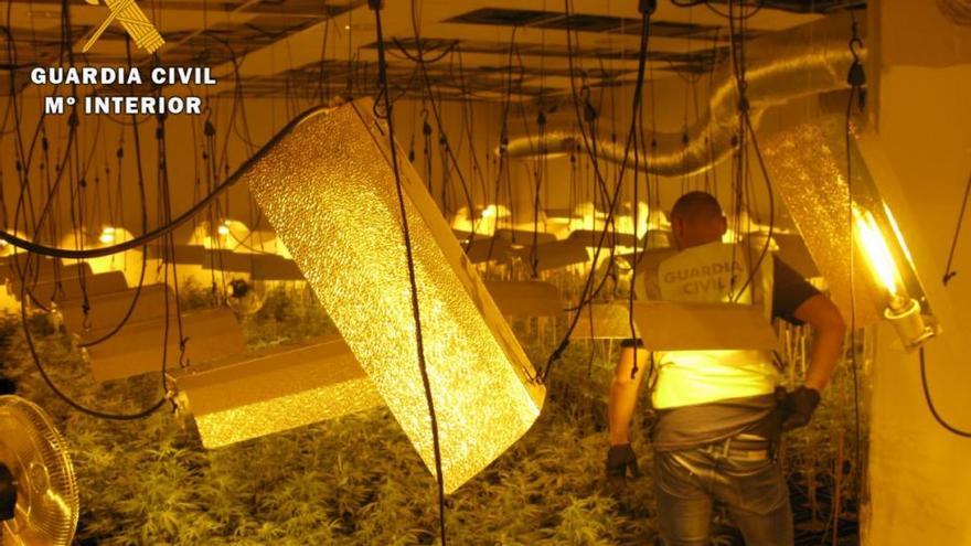 Desmantelado un laboratorio clandestino de marihuana en Priego de Córdoba