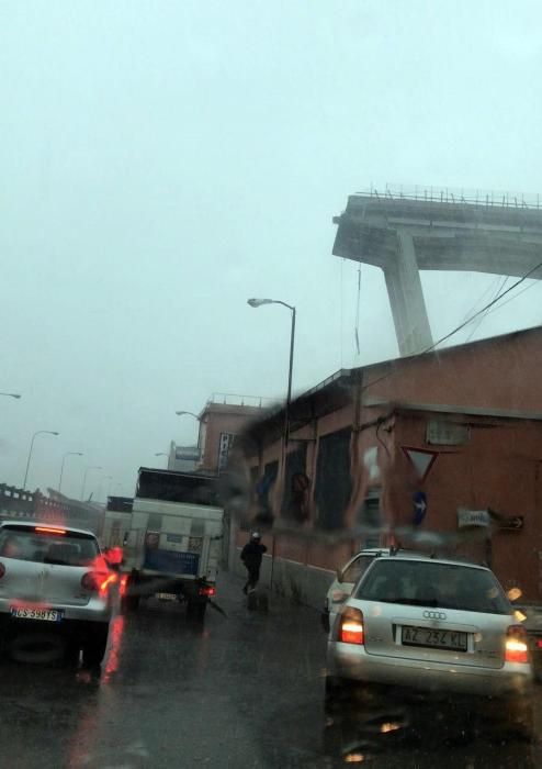 Decenas de muertos al desplomarse un puente de una autopista en Génova