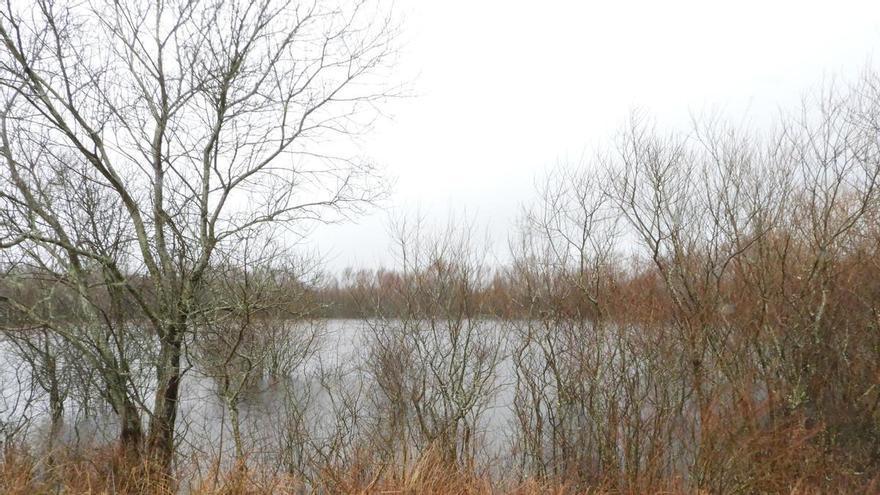 La laguna que solo emerge en inviernos muy lluviosos a media hora de Santiago