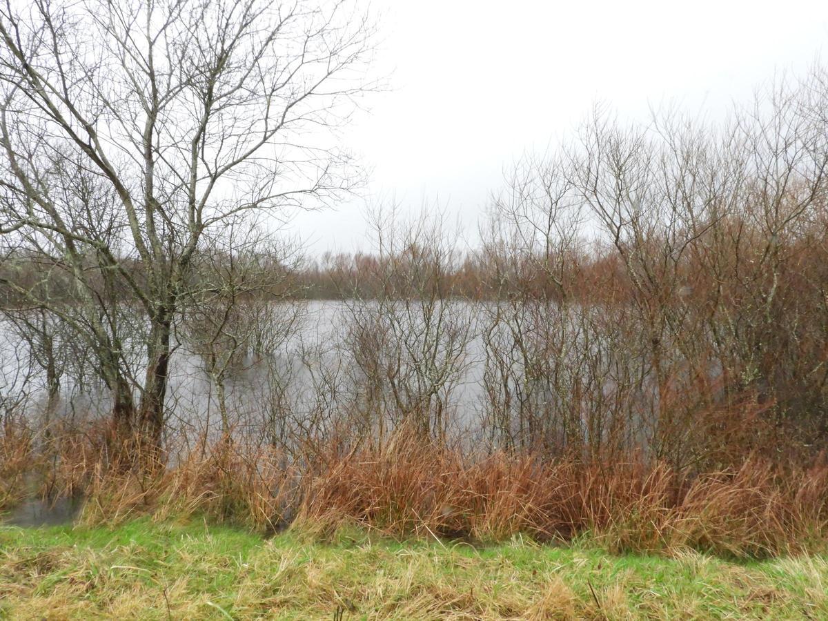 Vista general de la laguna de Olives esta semana