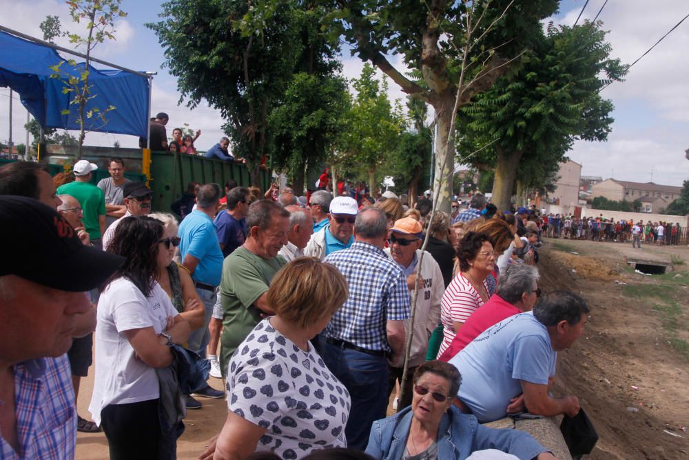 Espante infantil de Fuentesaúco