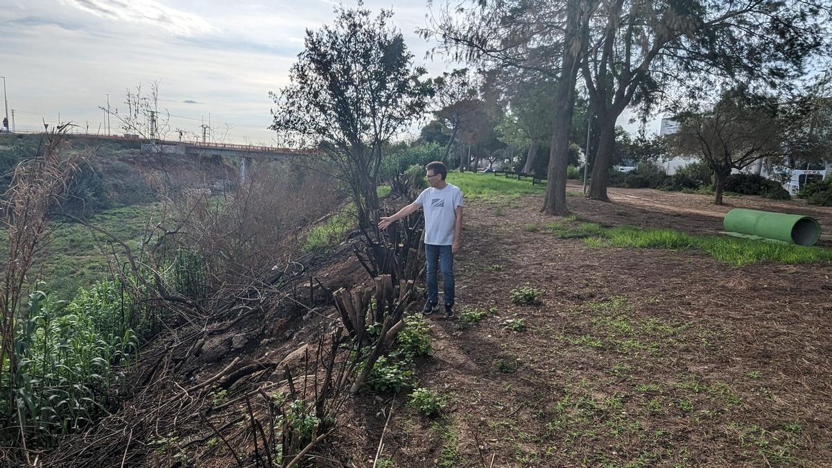 Estado actual del parque canino de la Mineta tras el incendio