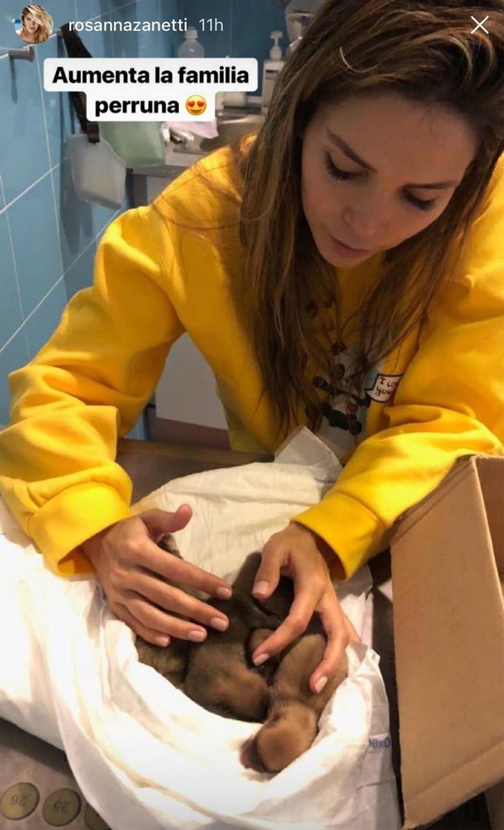 Rosanna Zanetti con los cuatro cachorritos recién nacidos