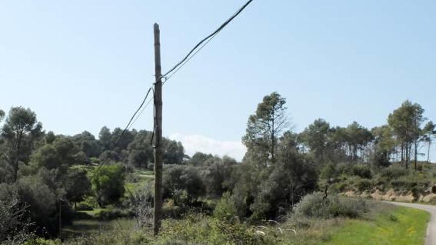 La línia de telèfon que arriba a Boadella i les Escaules.