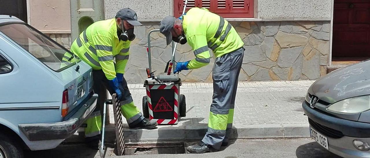 Dos técnicos de control de plagas revisan una alcantarilla durante los controles periódicos.