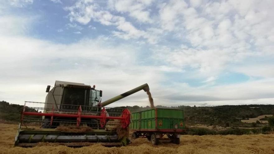 Solo el 10% de los perceptores de la PAC en Aragón tiene menos de 40 años