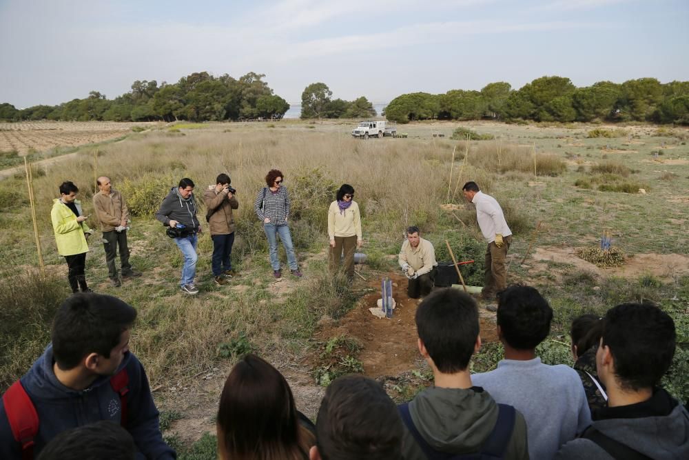 Plantación de especies autóctonas de alumnos del IES Mare Nostrum el día del arbol en el parque natural de las lagunas