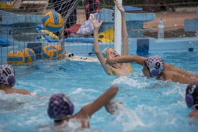 Deporte BASE. Reportaje a la cadena de waterpolo ...