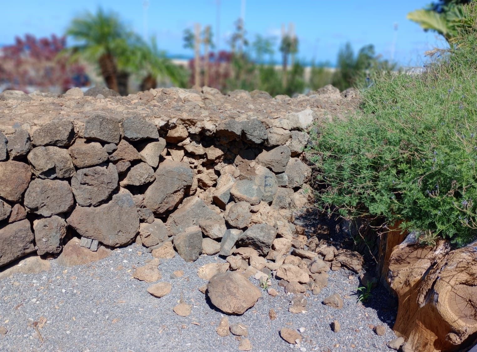 Vandalismo en un parque de La Laguna