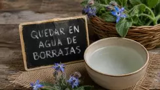 La expresión “quedar en agua de borrajas” en realidad no era así originalmente
