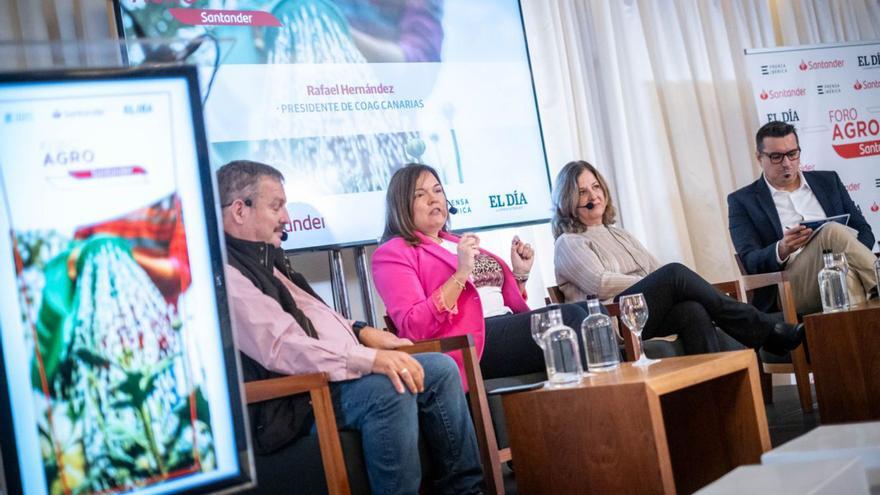 Rafael Hernández, Lorena Ruiz, Ángela Delgado y Moisés Álvarez.